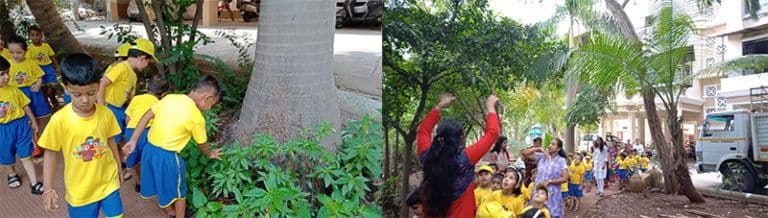 nature walk 2.jpg
